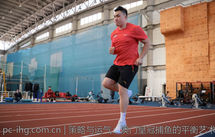 策略与运气：澳门皇冠捕鱼的平衡艺术
